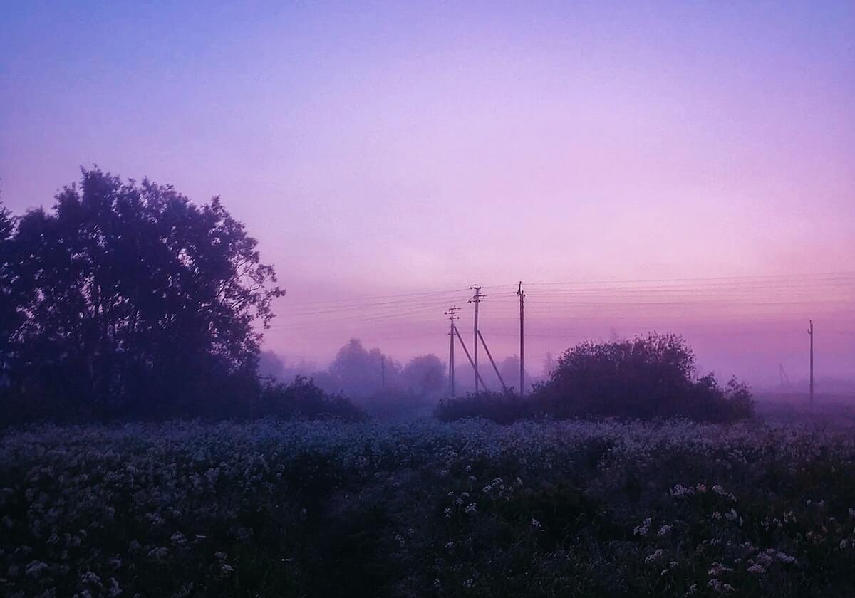 别再被带偏了：p站镜像登录不上-最关键的浏览器设置，你可能也被误导了（别再传谣）