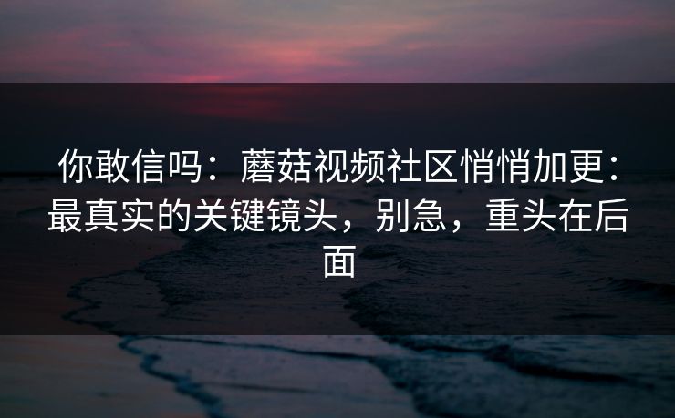 你敢信吗：蘑菇视频社区悄悄加更：最真实的关键镜头，别急，重头在后面