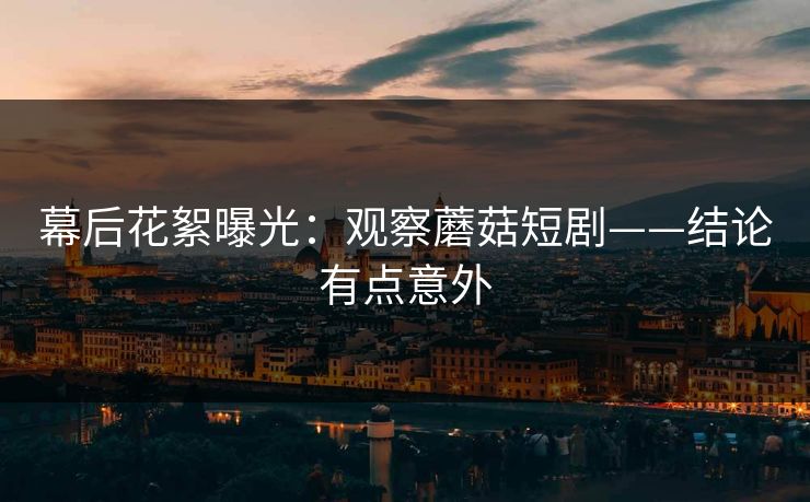 幕后花絮曝光：观察蘑菇短剧——结论有点意外