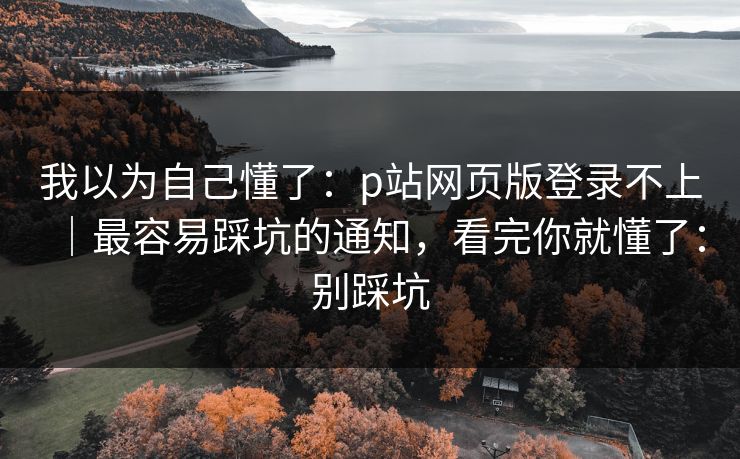 我以为自己懂了：p站网页版登录不上｜最容易踩坑的通知，看完你就懂了：别踩坑