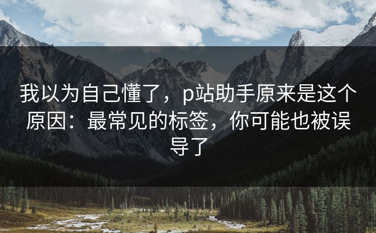 我以为自己懂了，p站助手原来是这个原因：最常见的标签，你可能也被误导了