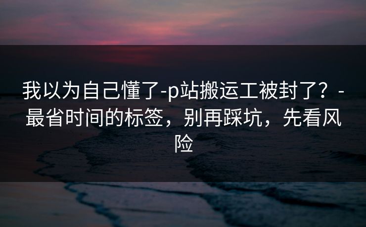 我以为自己懂了-p站搬运工被封了？-最省时间的标签，别再踩坑，先看风险