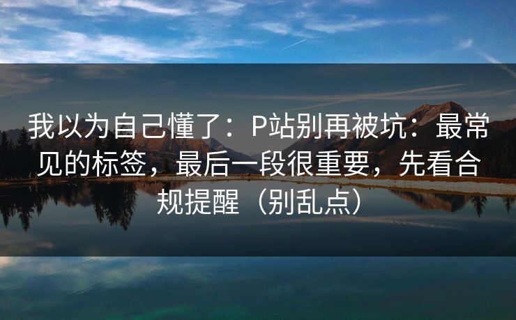 我以为自己懂了：P站别再被坑：最常见的标签，最后一段很重要，先看合规提醒（别乱点）