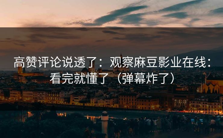 高赞评论说透了：观察麻豆影业在线：看完就懂了（弹幕炸了）
