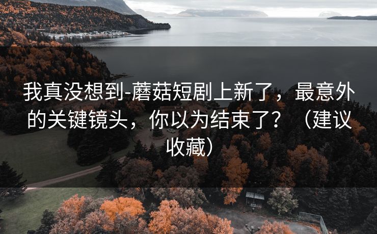我真没想到-蘑菇短剧上新了，最意外的关键镜头，你以为结束了？（建议收藏）