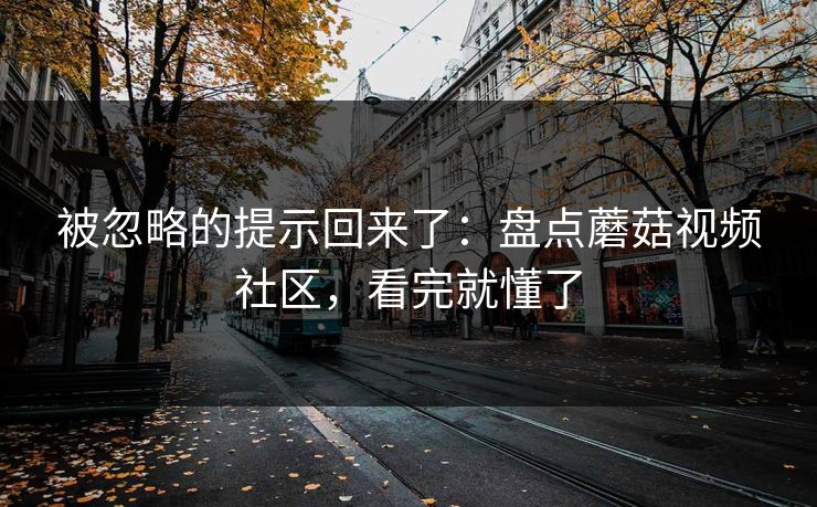 被忽略的提示回来了：盘点蘑菇视频社区，看完就懂了