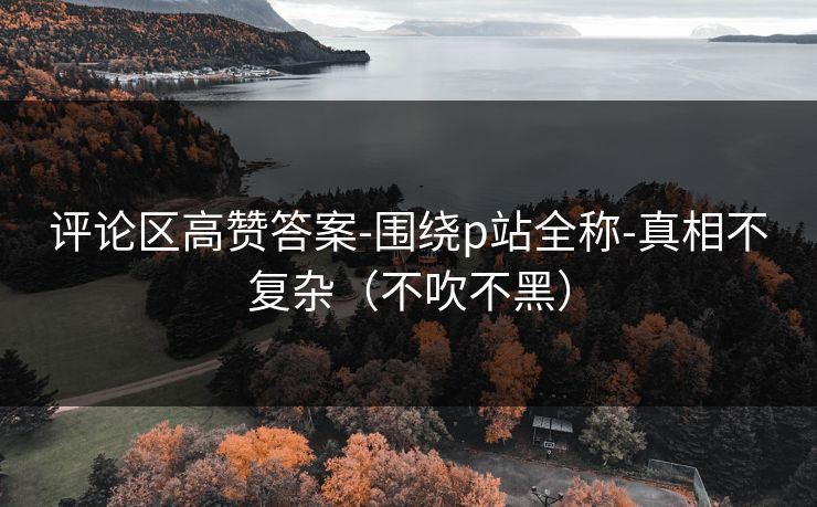 评论区高赞答案-围绕p站全称-真相不复杂（不吹不黑）