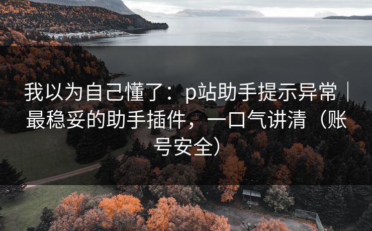 我以为自己懂了：p站助手提示异常｜最稳妥的助手插件，一口气讲清（账号安全）