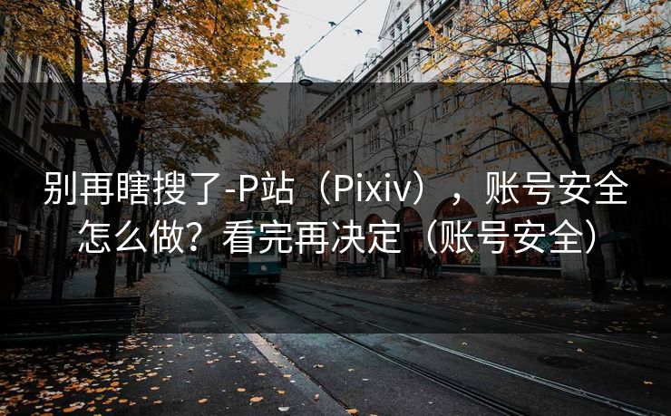 别再瞎搜了-P站（Pixiv），账号安全怎么做？看完再决定（账号安全）